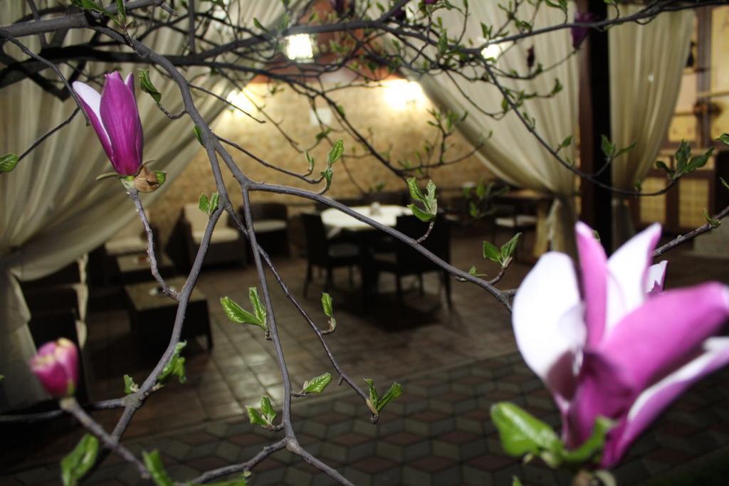 Pensiunea Normandia Timisoara Luaran gambar